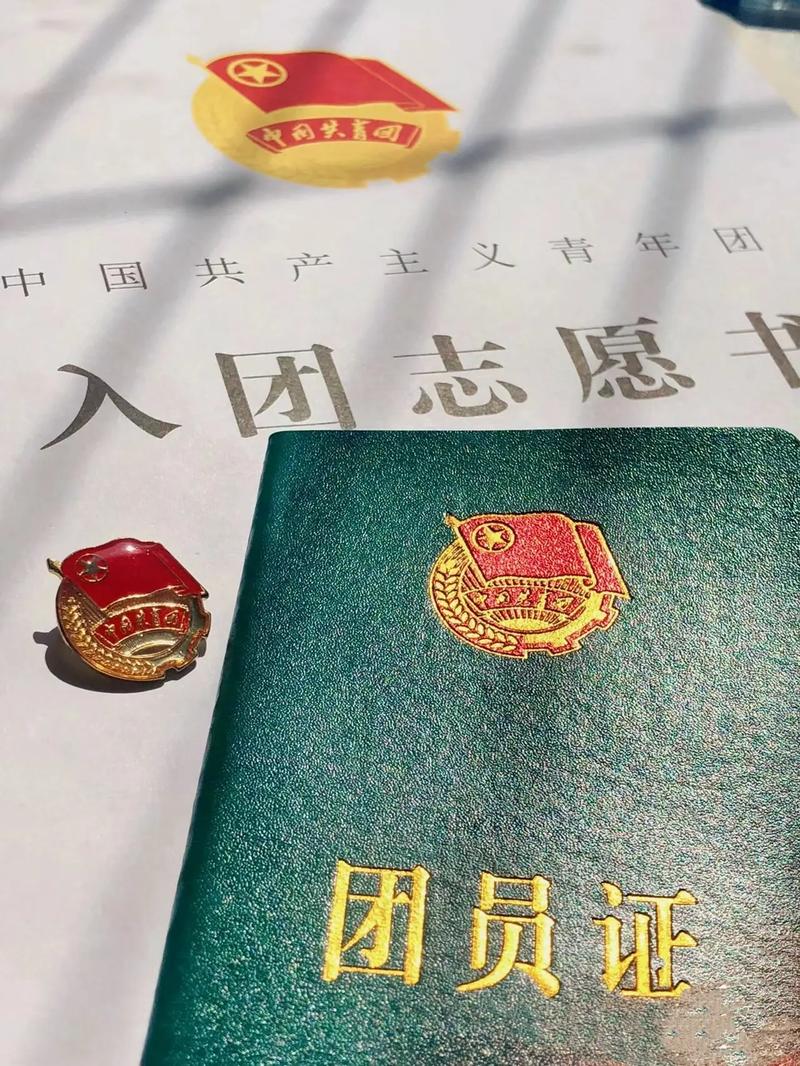 共青团北京线上系统