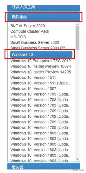 msdn原版和纯净版有什么区别缩略图
