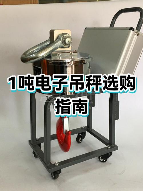电子吊秤十大名牌缩略图