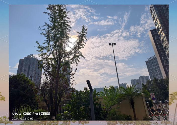 vivo相机水印图片缩略图