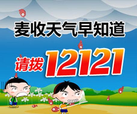 12121天气预报查询