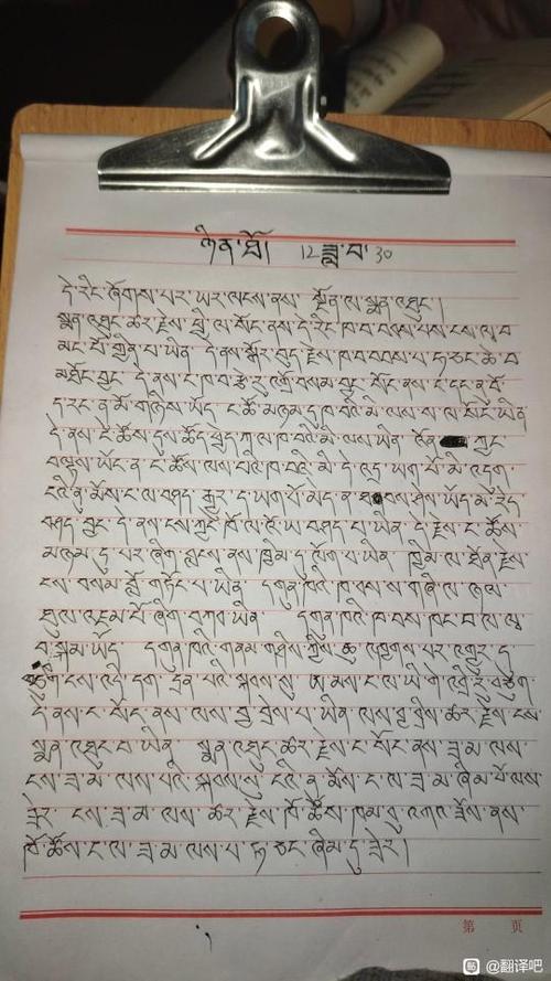 藏文拍照翻译游戏截图