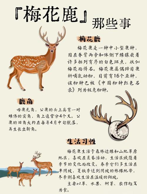 鹿的美好寓意的句子