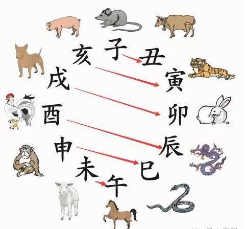 属相相害会克死人吗
