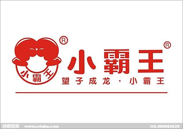 小霸王公司简介