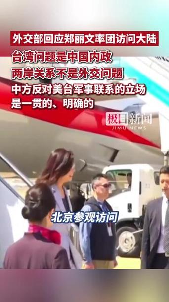 外交部回应郑丽文率团访大陆游戏截图