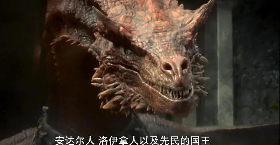 燃烧吧 蜘蛛缩略图