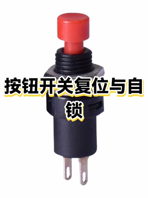 按钮开关自锁和自复位截图