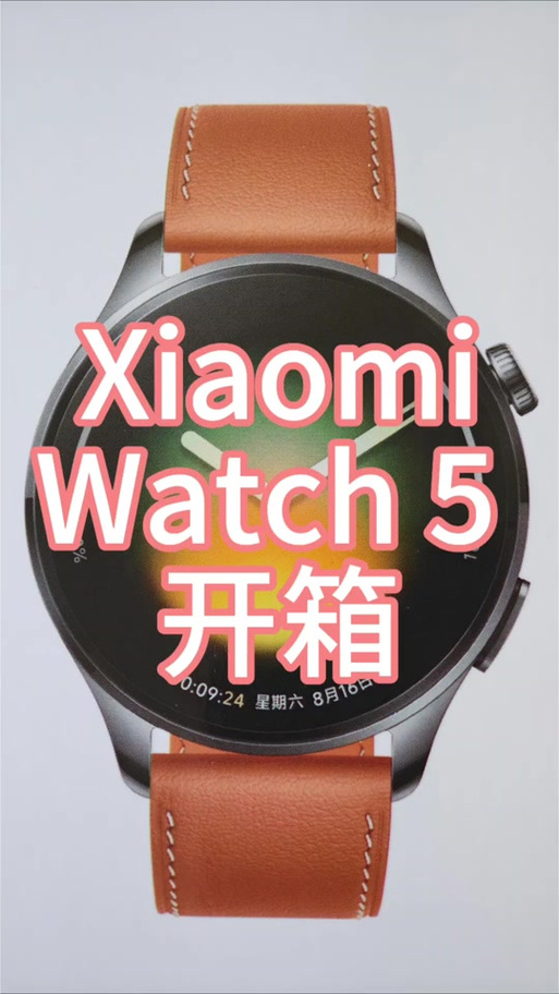 小米watch强制解除密码