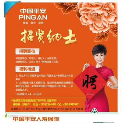 安心保险招聘