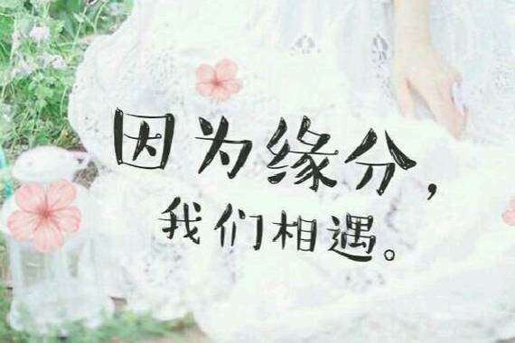 走失的缘分
