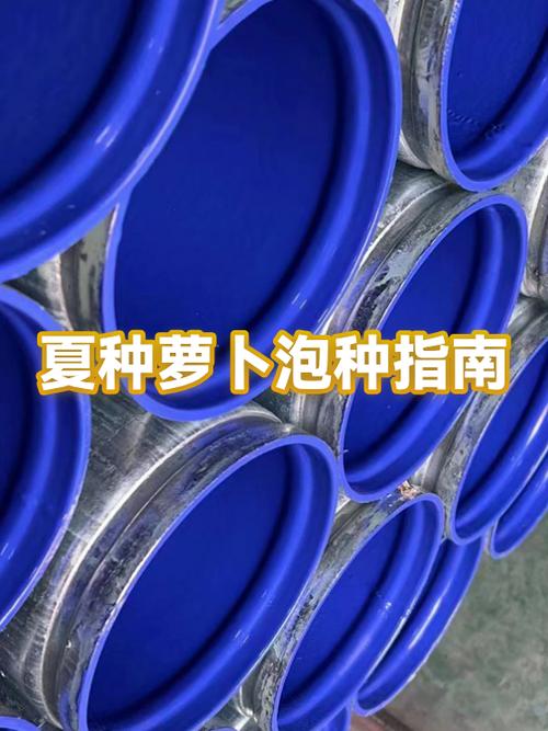 保卫萝卜1激活码十五位数字