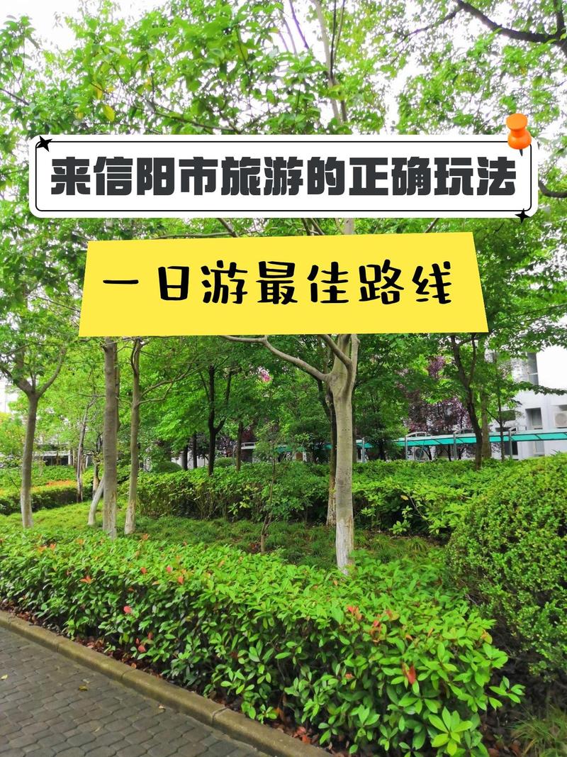 信阳东站到淮滨如何坐车