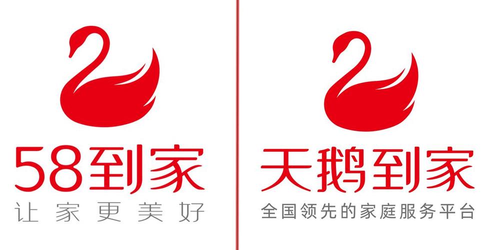 天鹅到家
