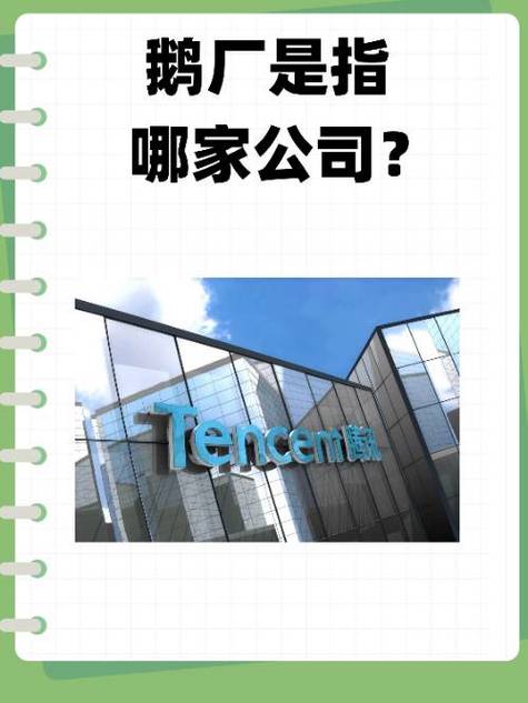 芒果筹是哪个公司
