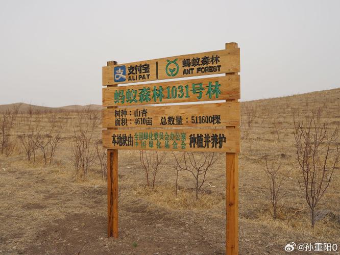 蚂蚁森林树多久能长大