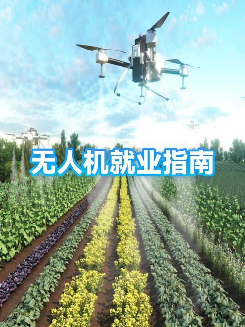 年轻人学无人机好就业吗图标