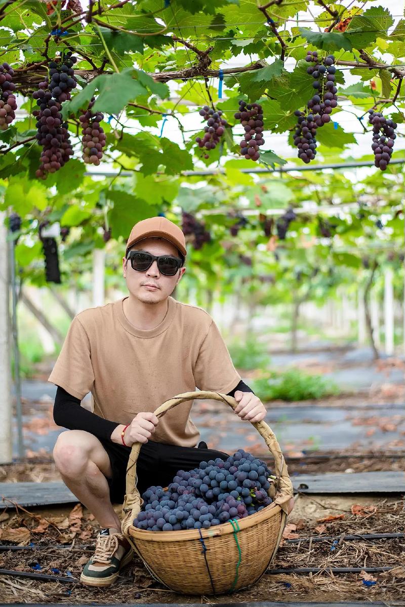 多多果园果树成熟翻倍怎么取消缩略图