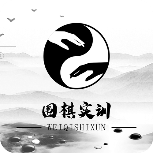 全国十大围棋软件
