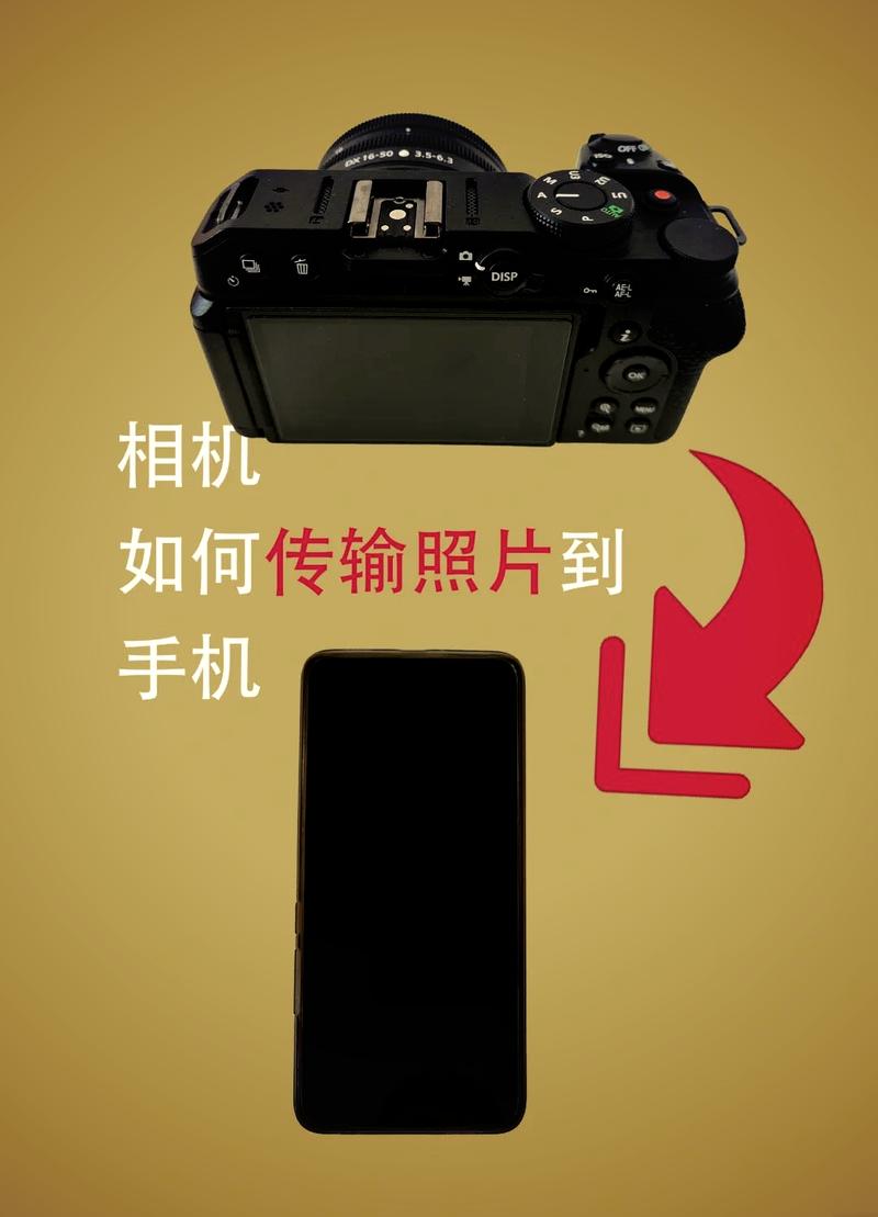 尼康查快门数图标