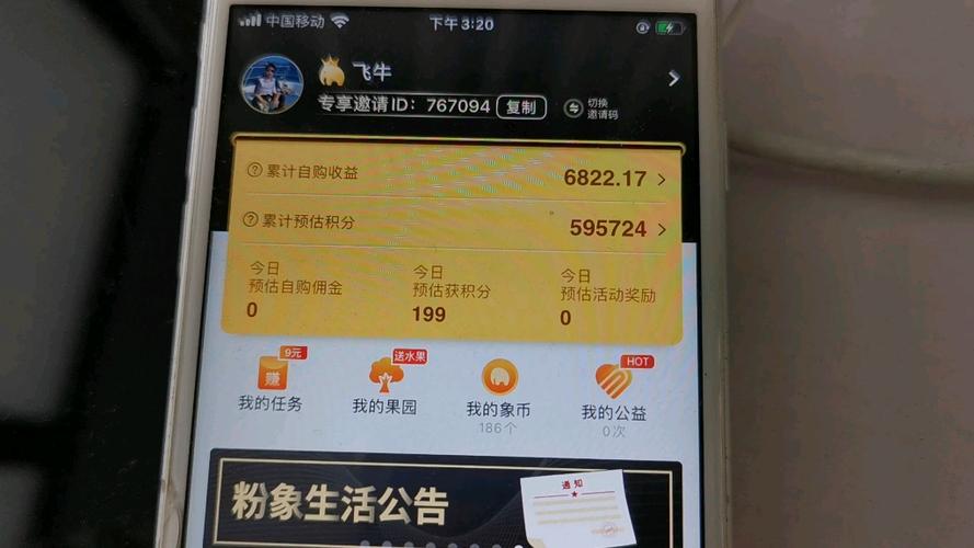 粉象生活一天能赚多少