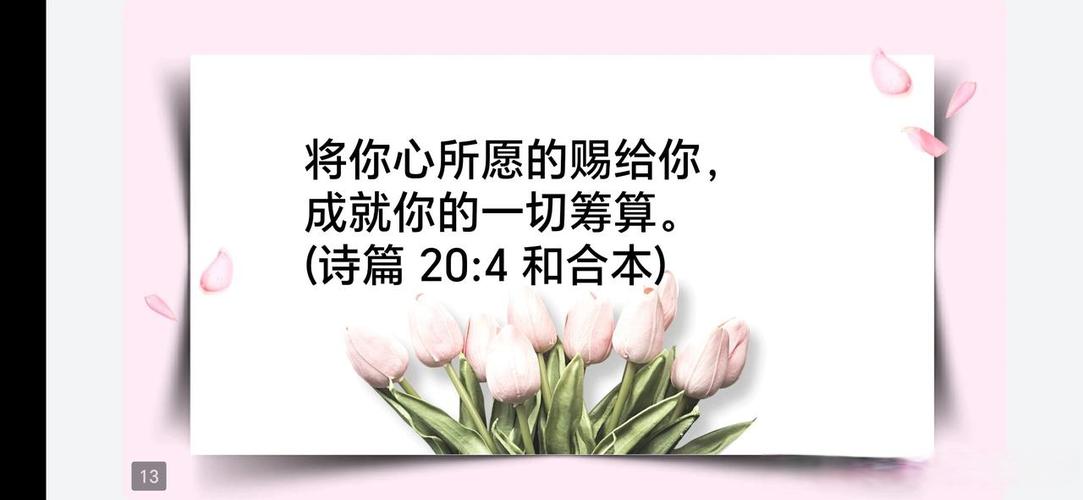 圣经中安慰人的经文