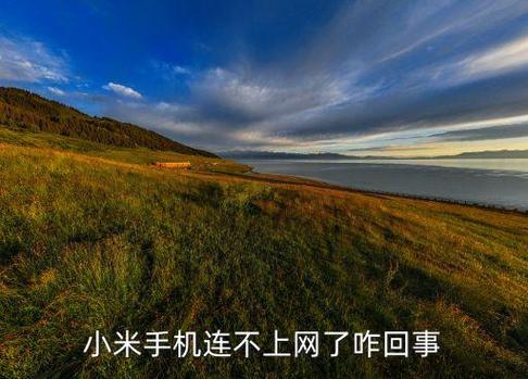 小米已连接但无法访问互联网游戏截图