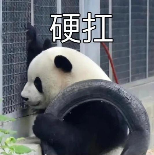 我还能扛得住表情包