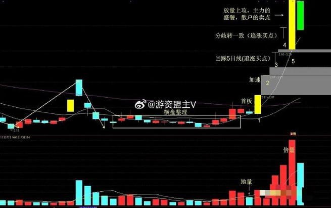 赢在龙头资金论市缩略图