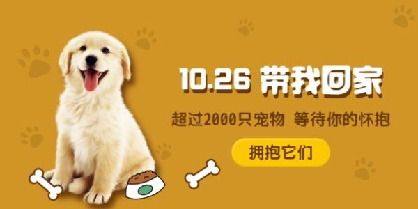 小宠领养平台是怎样赚钱