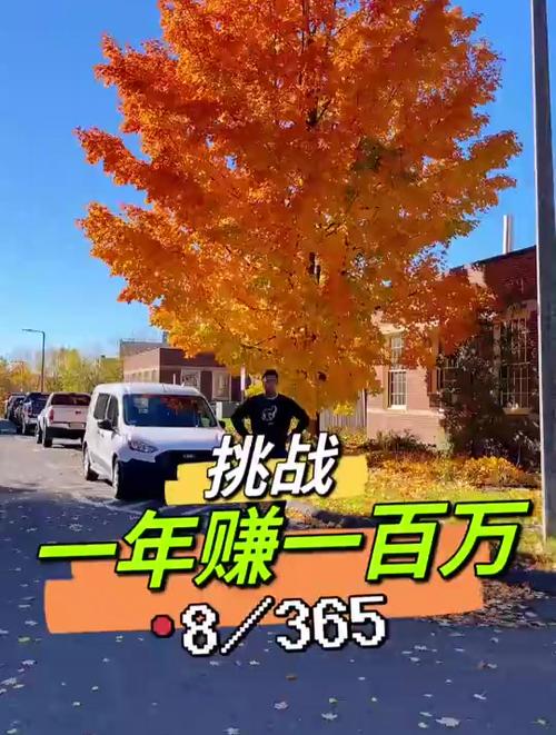 一年赚1000万的行业