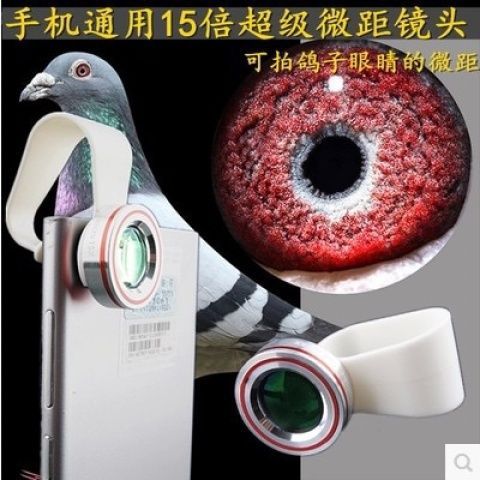 苹果15的微距功能在哪里