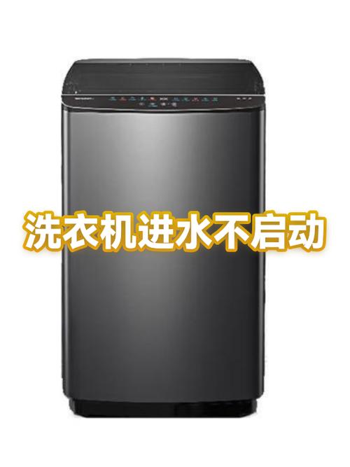 洗衣机启动不进水游戏截图