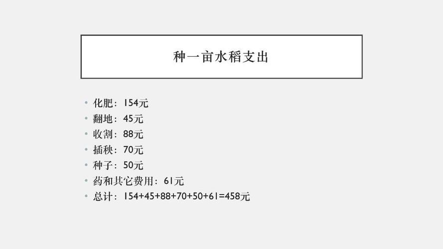 1亩水稻收入多少钱