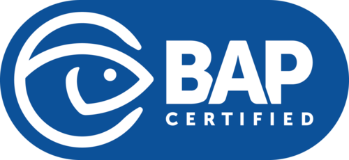bapbap应用下载