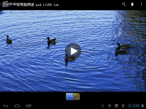 蜂鸟视频最新版本