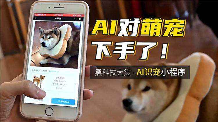 Al识宠app下载