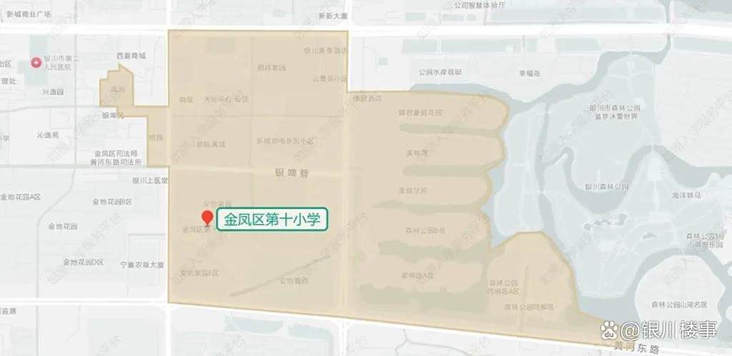 宁夏金凤区有哪些小学