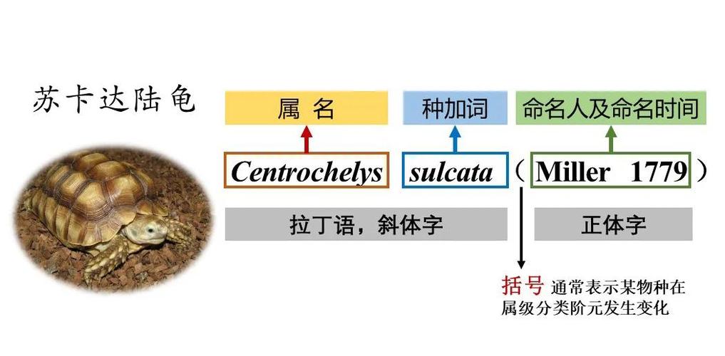让生物倒过来的命名
