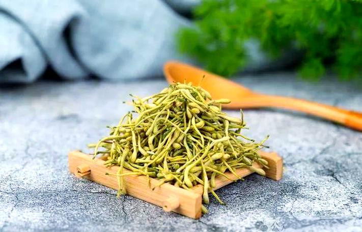 金银花药用功效和作用