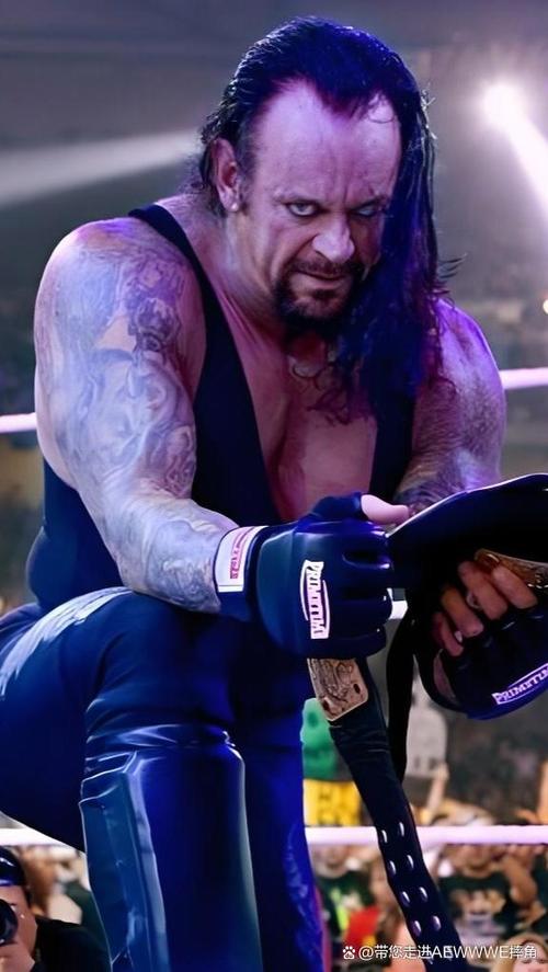 wwe美国职业摔角中文网游戏