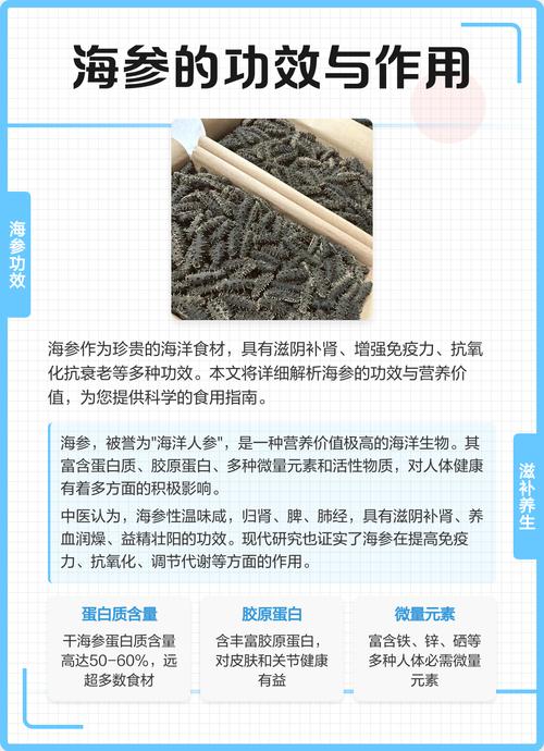 海参对肿瘤患者有什么好处