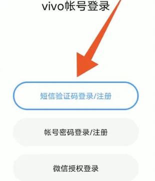 别人登录我的vivo账户怎么办