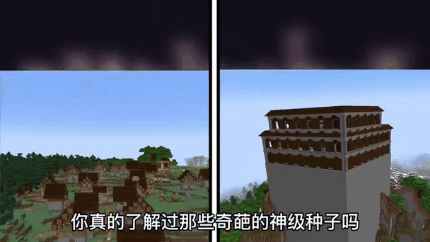 我的世界奇葩种子