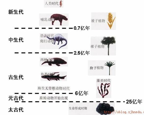 生命的进化历程