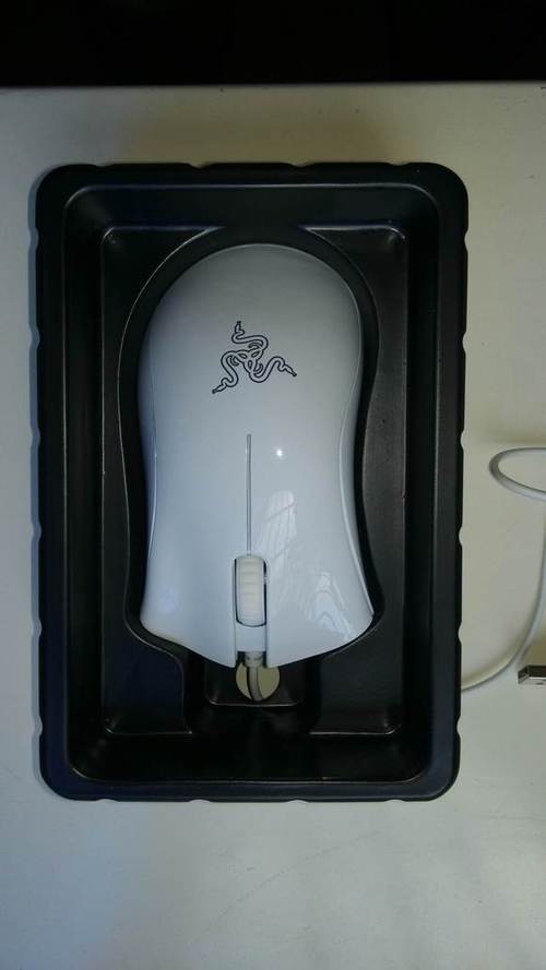 雷蛇蝰蛇1800dpi游戏截图