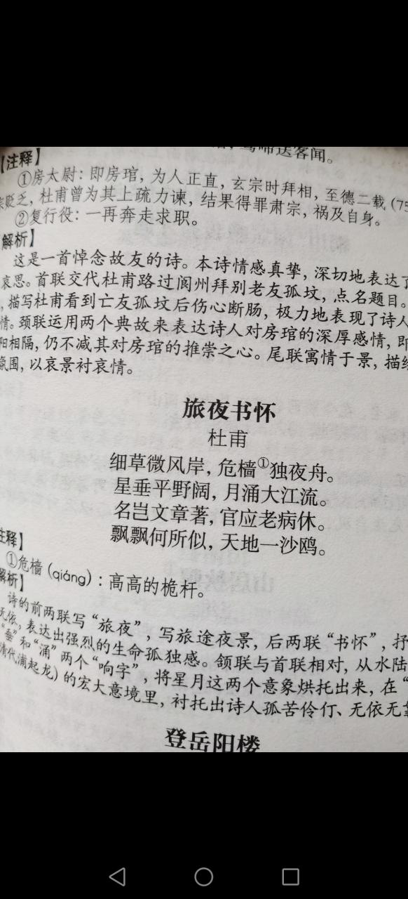 旅夜书怀赏析