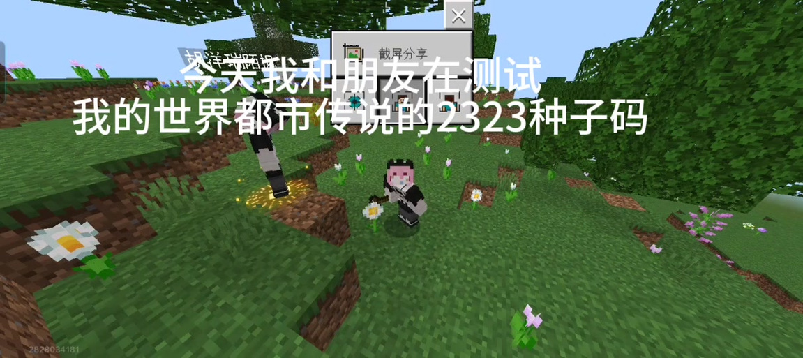 我的世界2323实体