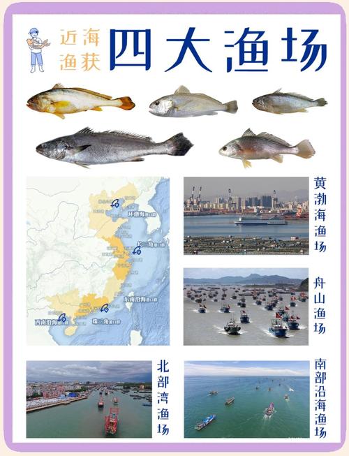 威哥渔场2