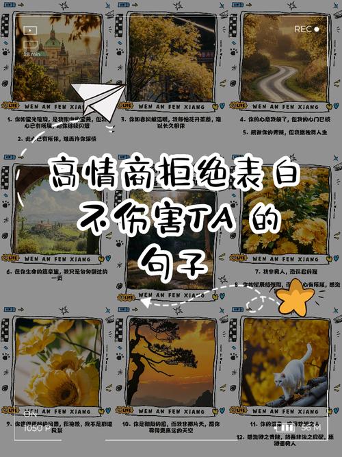 高情商拒绝男生的表白缩略图